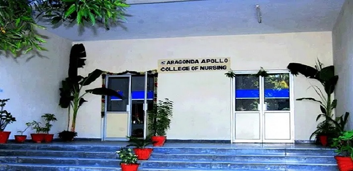 Aragonda Apollo College of Nursing Thavanampalle