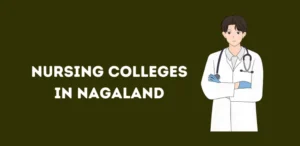 List of Nursing Colleges in Nagaland