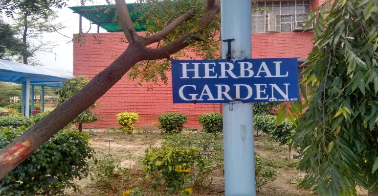 DSEU Pitampura Campus Garden