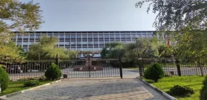 International Higher School of Medicine