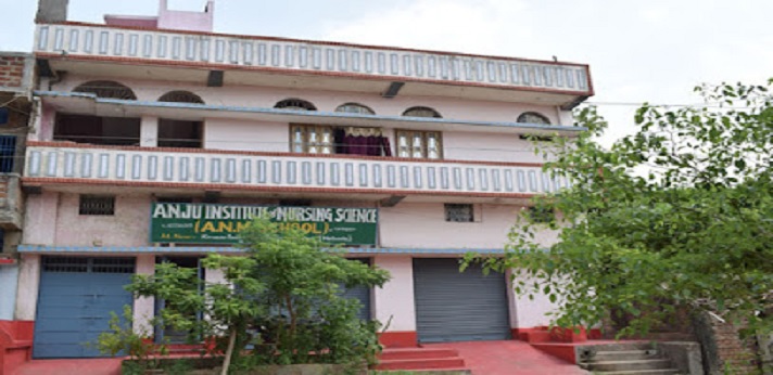 Anju Institute of Nursing Science Nalanda