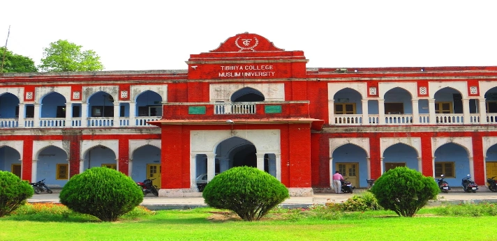 Ajmal Khan Tibbiya College Aligarh