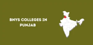 List of BNYS Colleges in Punjab