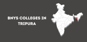 List of BNYS Colleges in Tripura