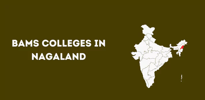 List of Bams colleges in Nagaland