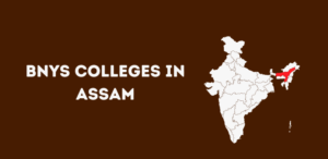 List of Bnys colleges in Assam