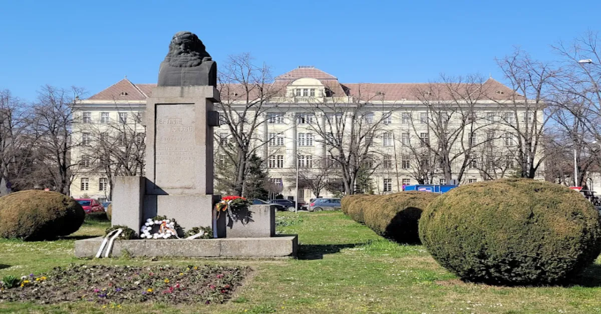 Victor Babes University of Medicine and Pharmacy Timisoara