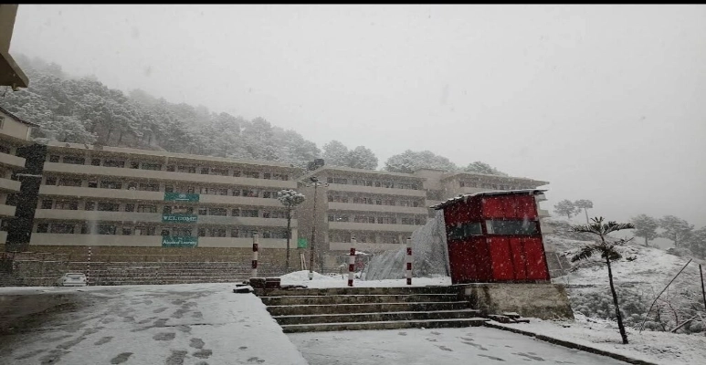 Bahra University Shimla Hills