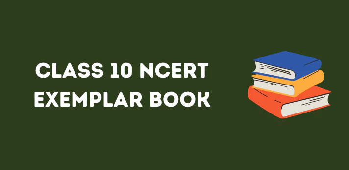 Class 10 NCERT Exemplar Book