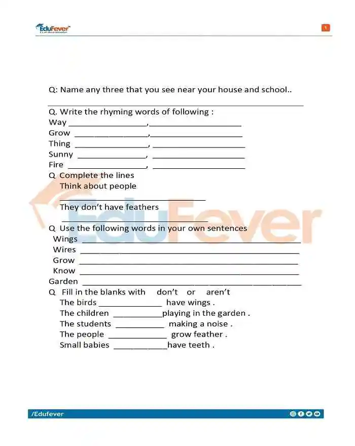 Class-3-English-Question-Paper