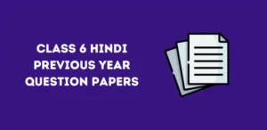 Class 6 Hindi Question Papers