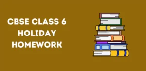 CBSE Class 6 Holiday Homework