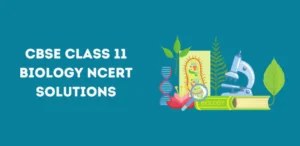 CBSE Class 11 Biology NCERT Solutions