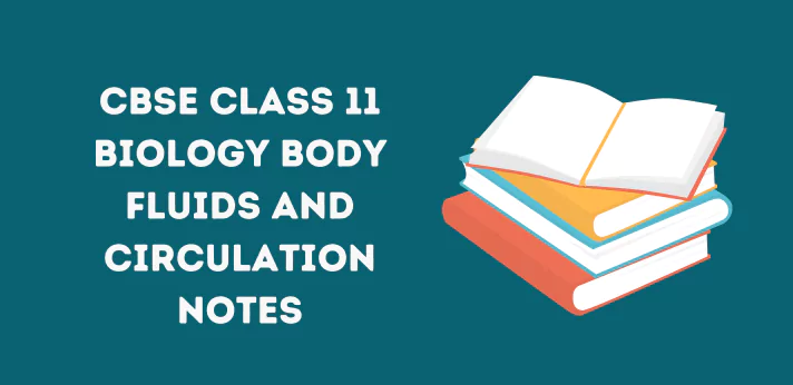 CBSE Class 11 Body Fluids and Circulation Notes