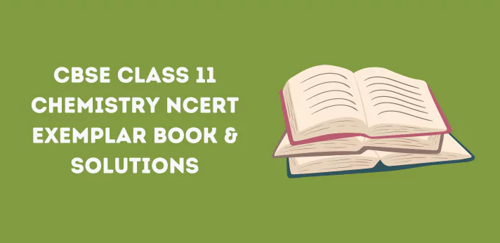 Class 11 Chemistry NCERT Exemplar Book & Solutions