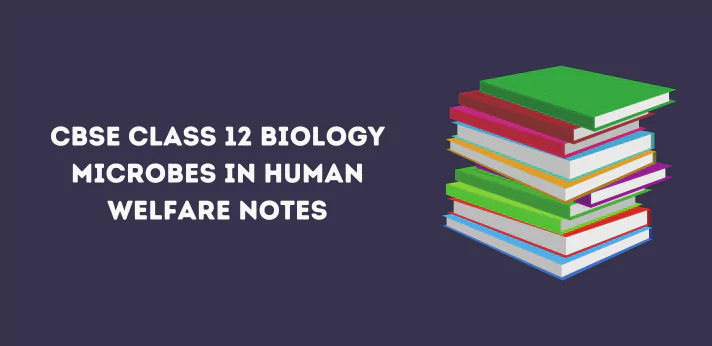 CBSE Class 12 Biology Microbes in Human Welfare Notes