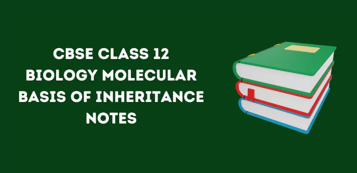 CBSE Class 12 Biology Molecular Basis of Inheritance Notes