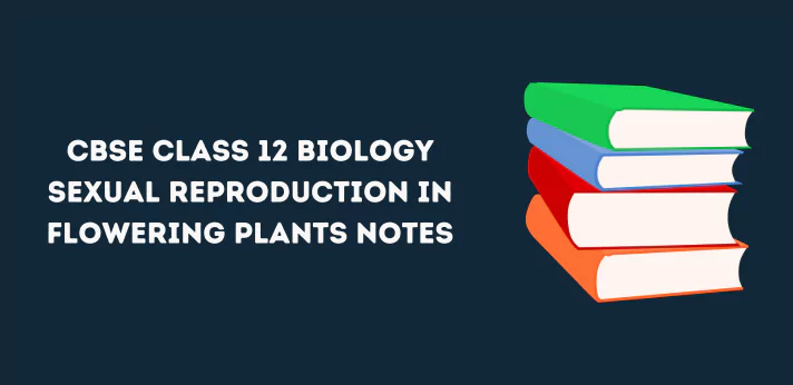 CBSE Class 12 Biology Sexual Reproduction in Flowering Plants Notes
