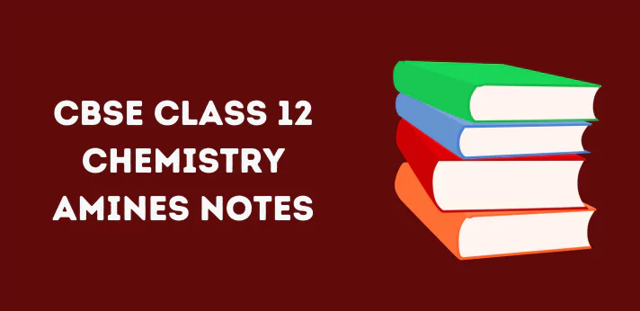 CBSE Class 12 Chemistry Amines Notes