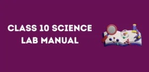 Class 10 Science Lab Manual