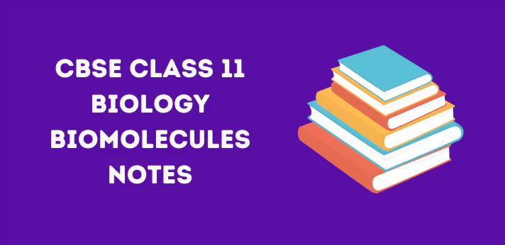 Class 11 Biomolecules Notes