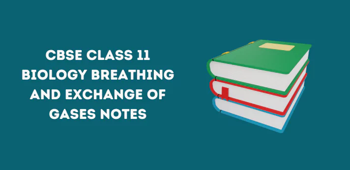 Class 11 Breathing and Exchange of Gases Notes