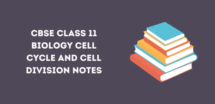 Class 11 Cell Cycle and Cell Division Notes