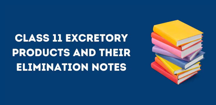Class 11 Excretory Products and their Elimination Notes