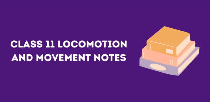 Class 11 Locomotion and Movement Notes