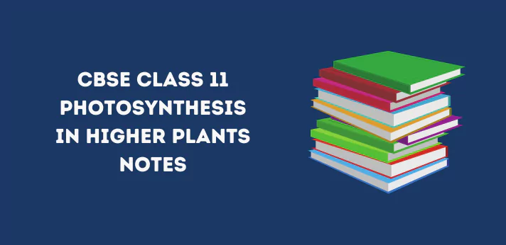 Class 11 Photosynthesis in Higher Plants Notes