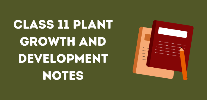 Class 11 Plant Growth and Development Notes