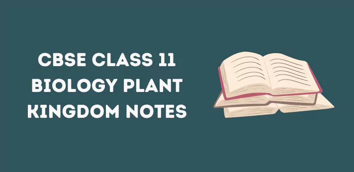 Class 11 Plant Kingdom Notes