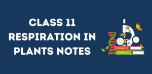 Class 11 Respiration in Plants Notes