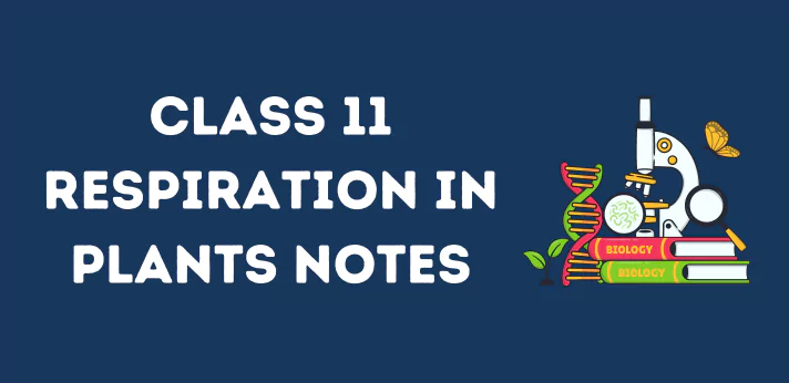 Class 11 Respiration in Plants Notes