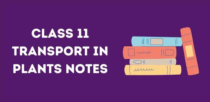 Class 11 Transport in Plants Notes