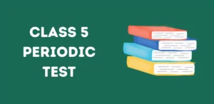 CBSE Class 5 Periodic Test