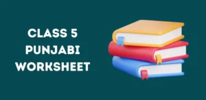 CBSE Class 5 Punjabi Worksheet