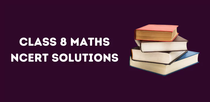 Class 8 Maths NCERT Solutions