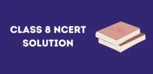 Class 8 NCERT Solution