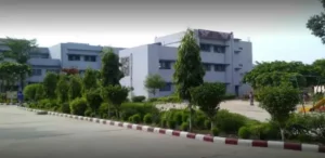 Kendriya Vidyalaya Sec-8 Rohini