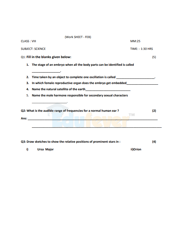 Class 8 Science Worksheet in PDF