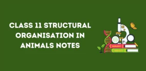 CBSE Class 11 Biology Structural Organisation in Animals Notes