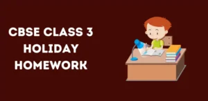 CBSE Class 3 Holiday Homework