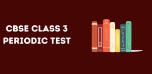 CBSE Class 3 Periodic Test