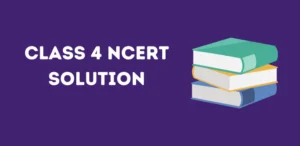 Class 4 NCERT Solution