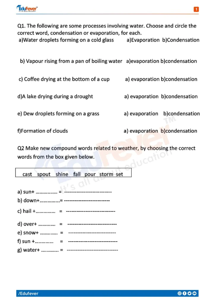 Class 4 Science Activity Worksheet