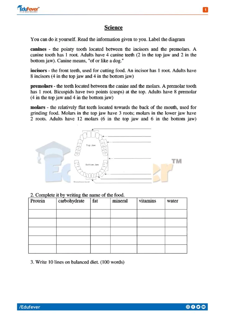 Class 4 Science Revision Worksheet