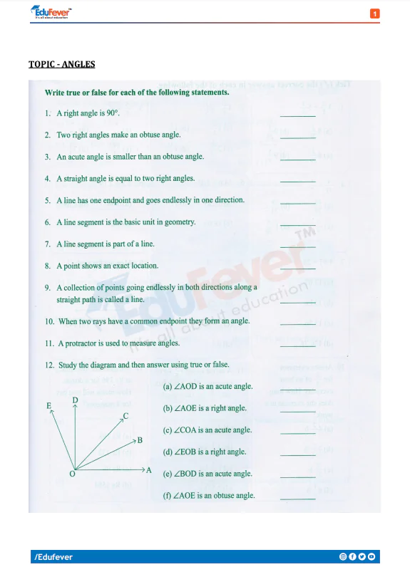Class 5 Mathematics Activity Worksheet
