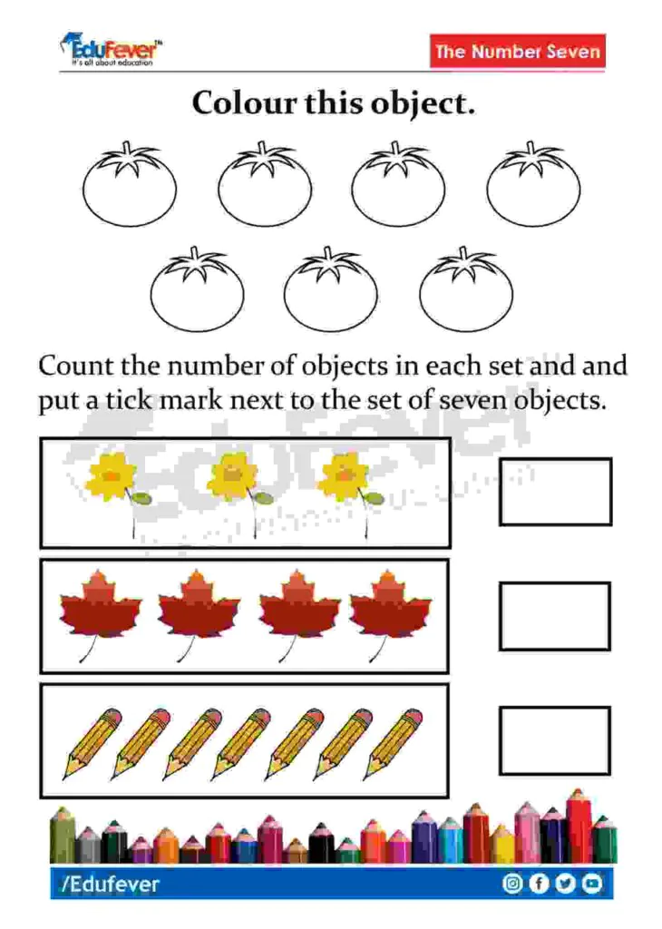 Counting-And-Coloring-