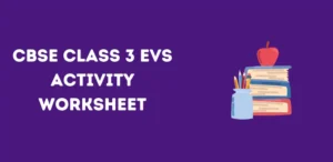 CBSE Class 3 EVS Activity Worksheet